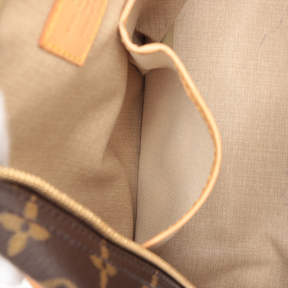 Louis Vuitton Monogram Trouville