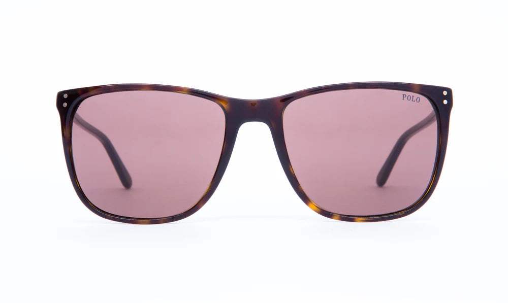 Polo Ralph Lauren PH 4102 5003-73 - Dark Havana-Brown by Ralph Lauren for Men - 55-18-145 mm Sunglasses