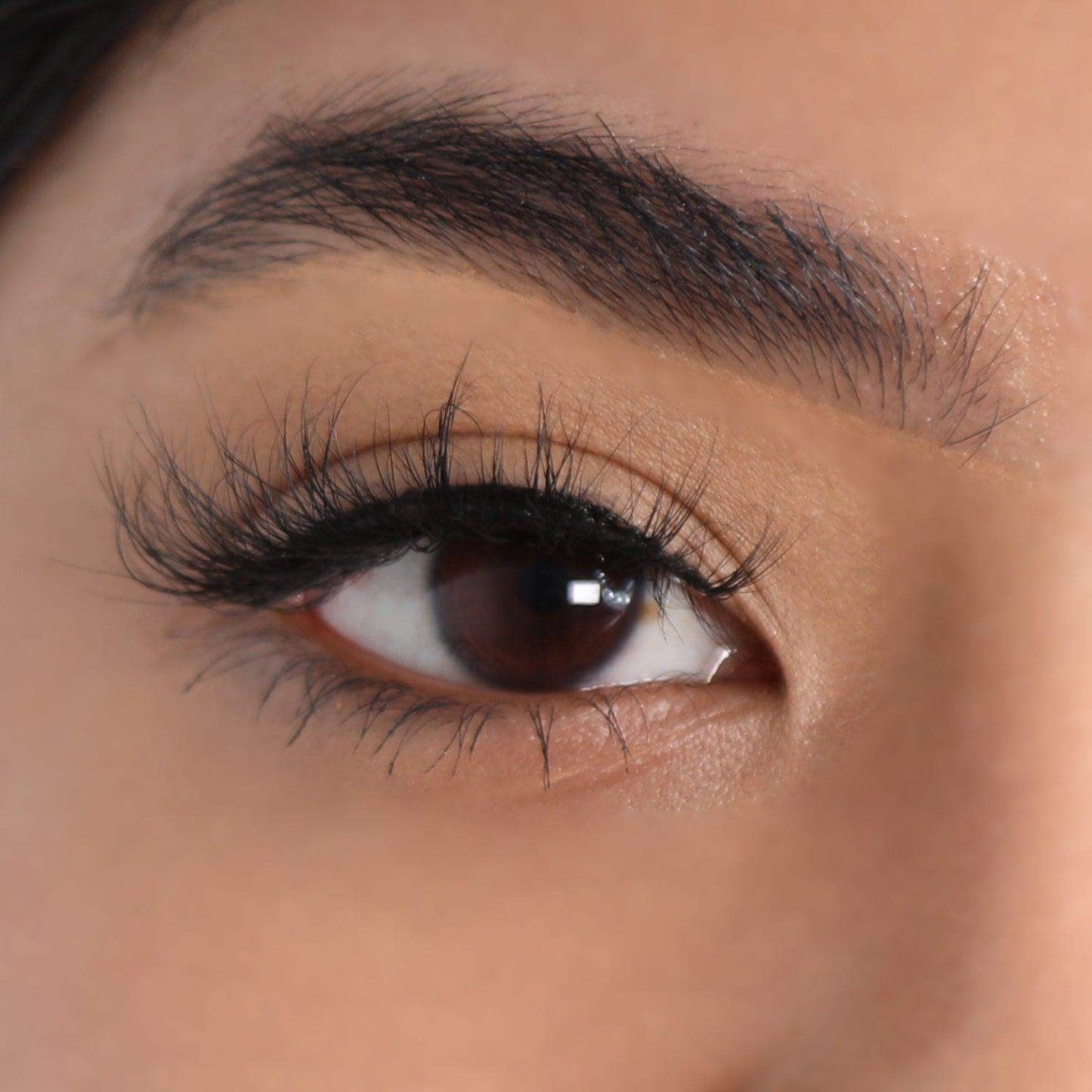 3D Mink Eyelashes - Redemption - BarberSets