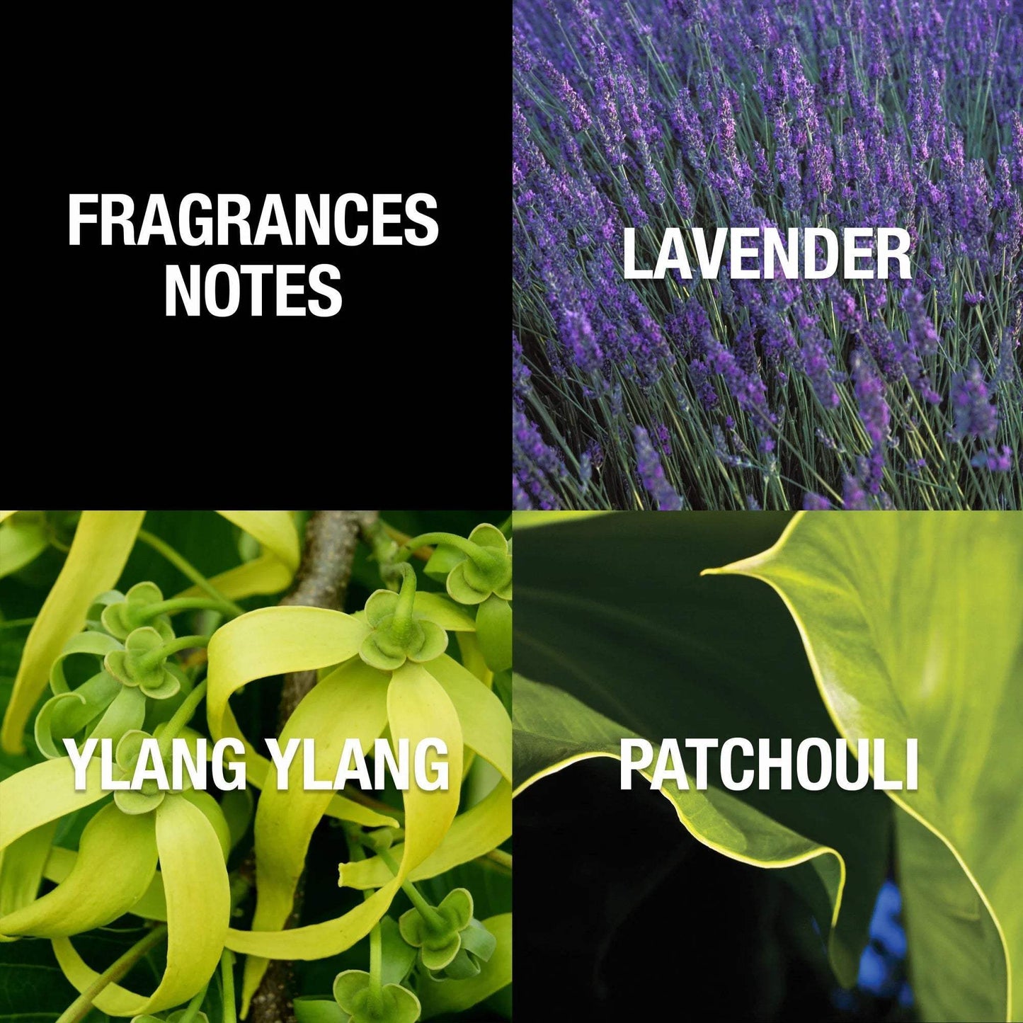 Paul Sebastian by Paul Sebastian for Men - 4 oz EDC Spray (Tester)