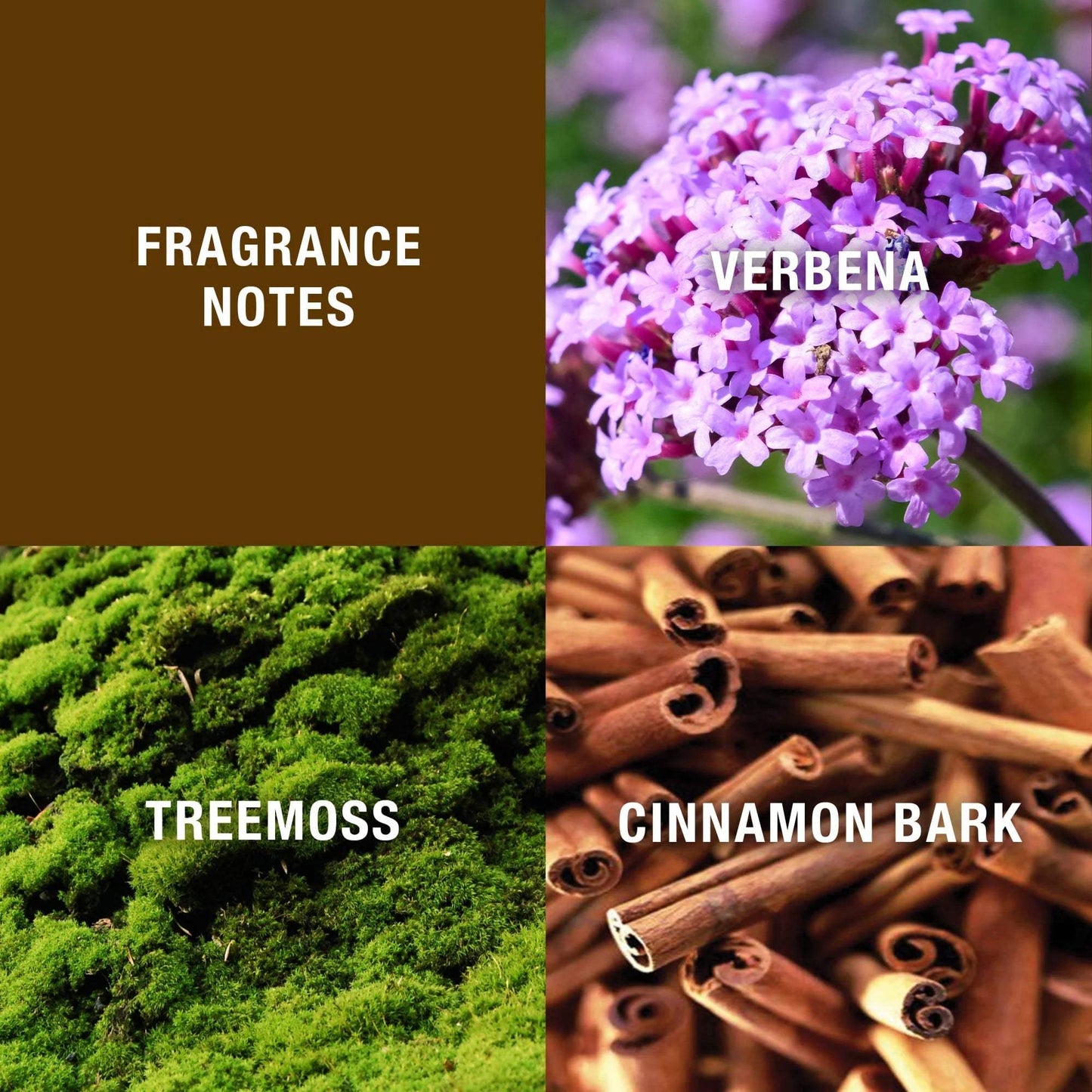 Halston Z-14 by Halston for Men - 2.5 oz Cologne Splash