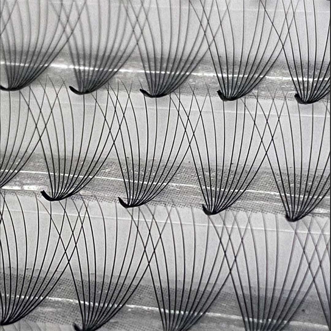 Dirty Little Secrets | Pre-Made Lash Extension Fans