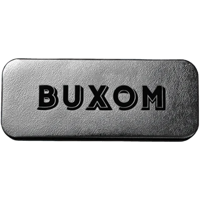 Empty Customizable Eyeshadown Palette by Buxom for Women - 1 Pc Empty Case