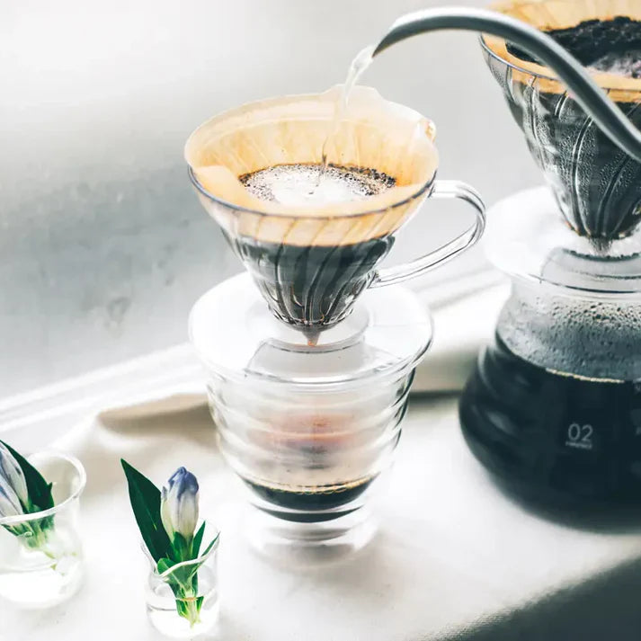 Hario V60 Plastic Dripper