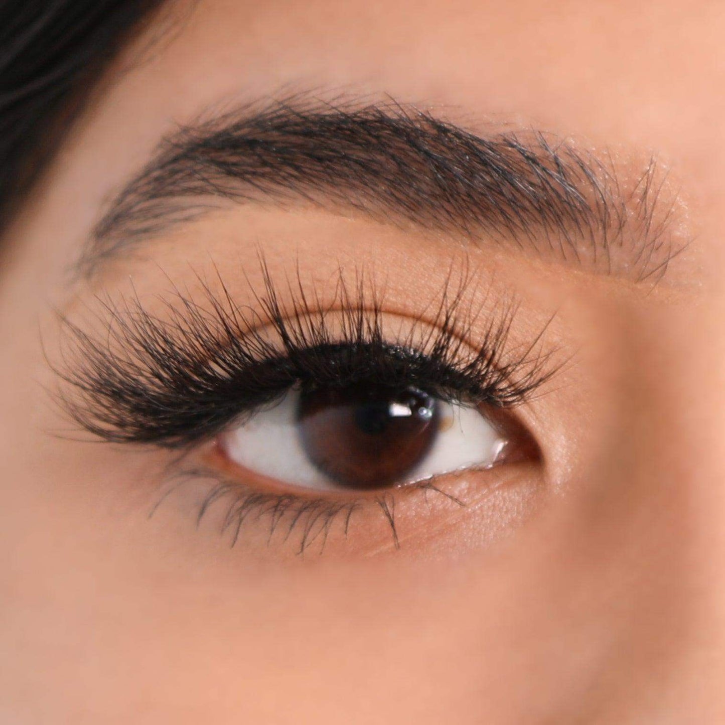 3D Mink Eyelashes - Growth - BarberSets