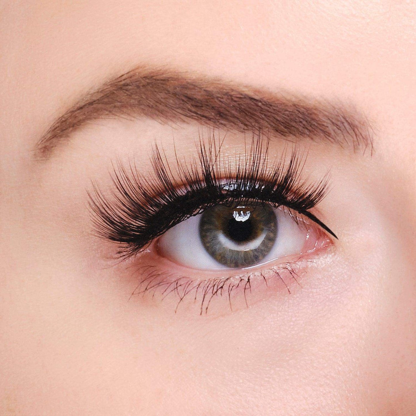 Synthetic Eyelashes - Holland - BarberSets