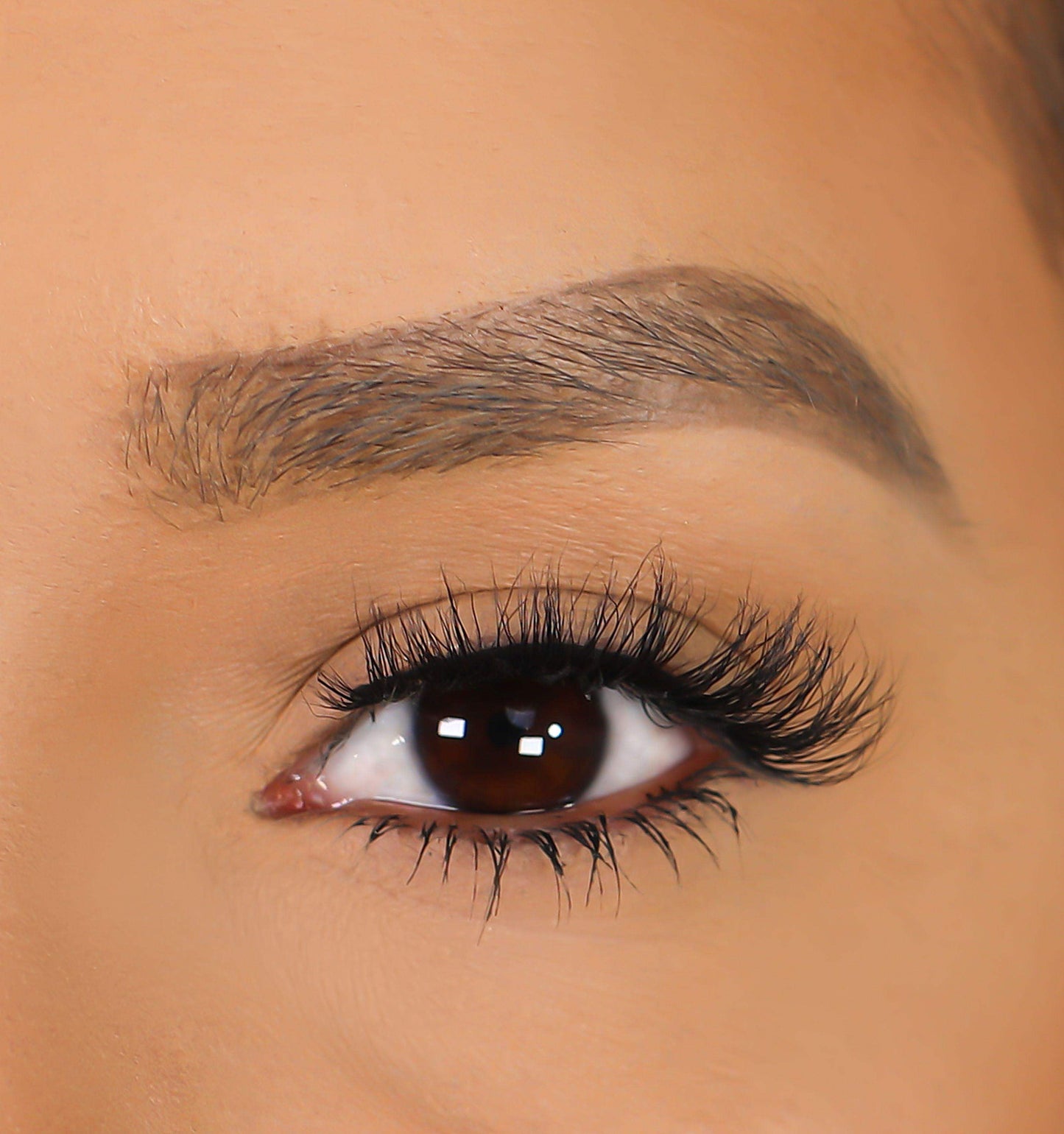 3D Mink Eyelashes - London - BarberSets