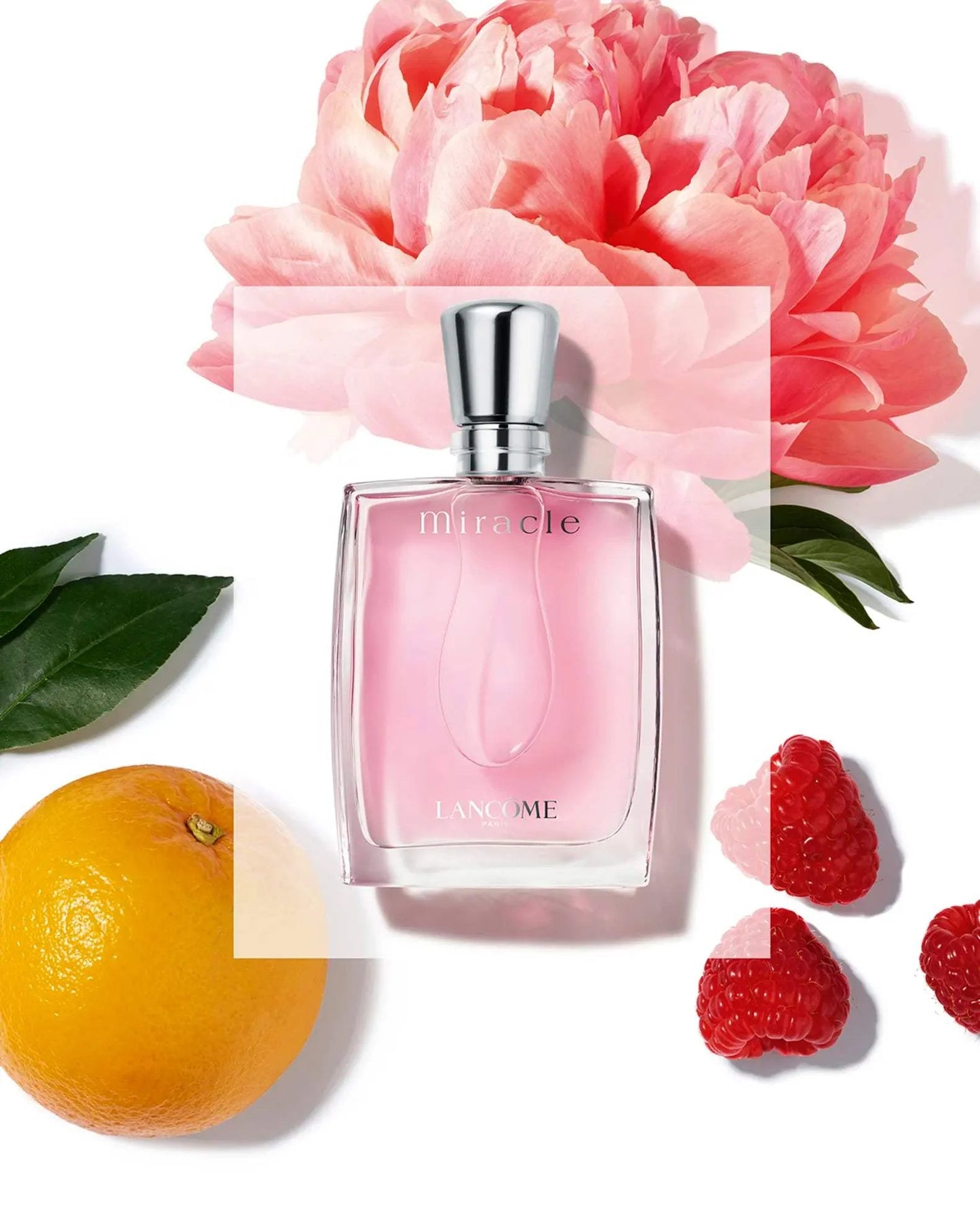 Miracle by Lancome for Women - 1.7 oz EDP Spray