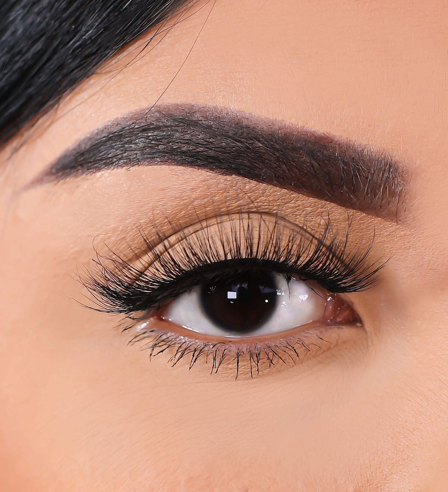 3D Mink Eyelashes - Peek - BarberSets