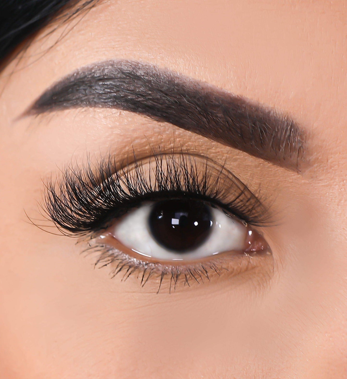 3D Mink Eyelashes - Rise - BarberSets