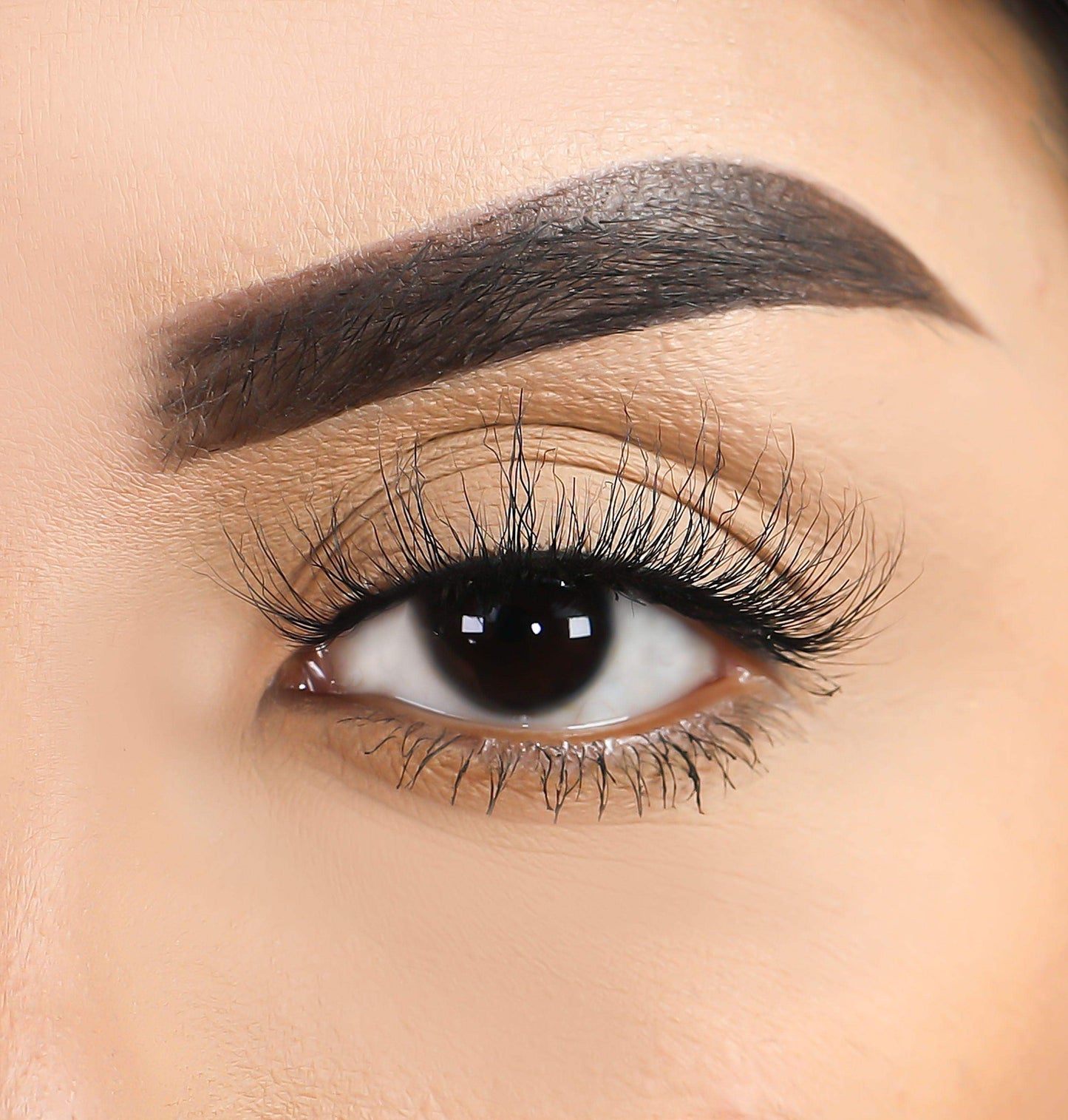 3D Mink Eyelashes - Scorpio - BarberSets