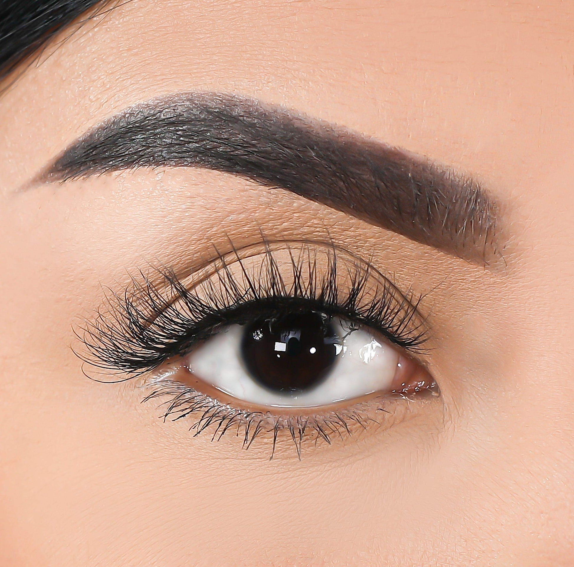 3D Mink Eyelashes - Shelby - BarberSets