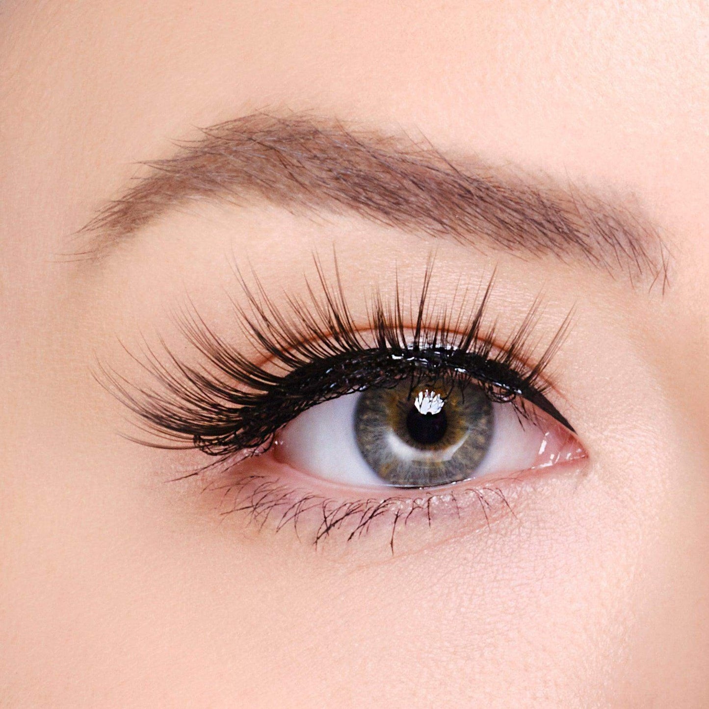 Synthetic Eyelashes - Taurus - BarberSets