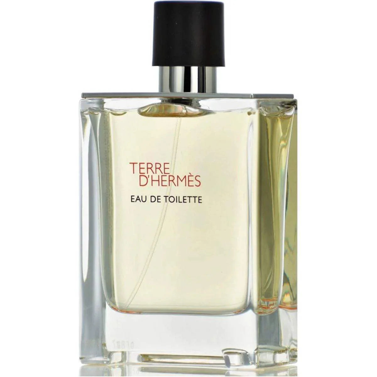 Terre DHermes by Hermes for Men - 3.3 oz EDT Spray