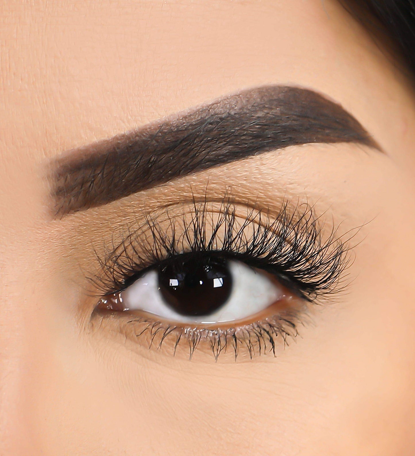 3D Mink Eyelashes - Thief - BarberSets