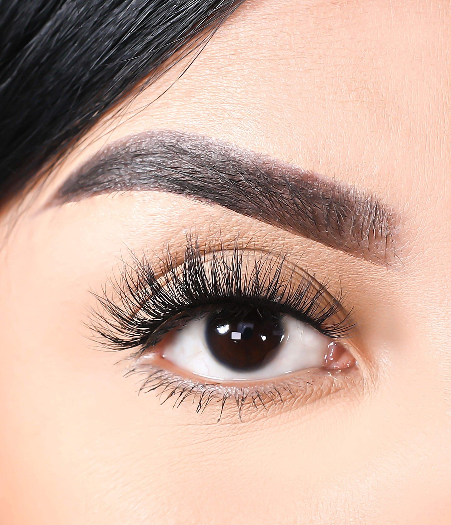 3D Mink Eyelashes - Wolves - BarberSets